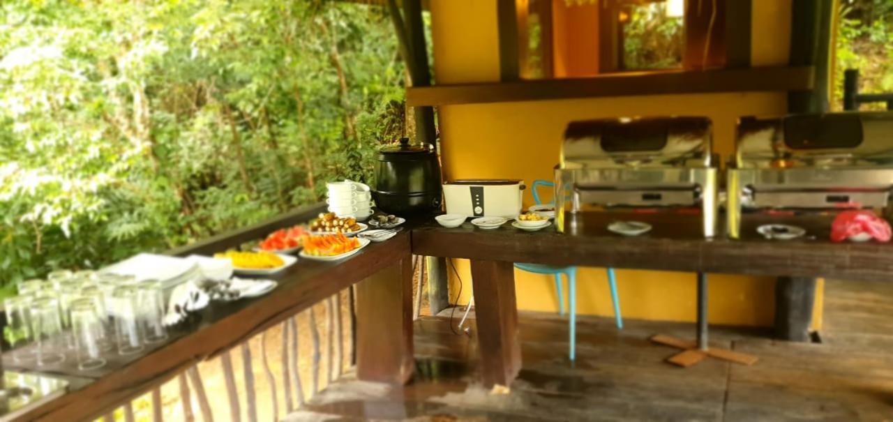 Explore Sinharaja Rain Forest Tour Camp Dombagoda Exterior foto