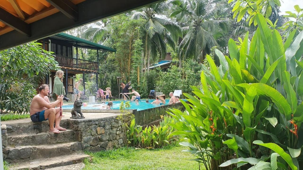 Explore Sinharaja Rain Forest Tour Camp Dombagoda Exterior foto