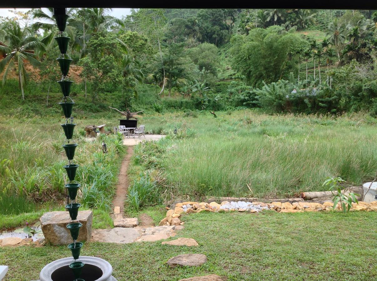 Explore Sinharaja Rain Forest Tour Camp Dombagoda Exterior foto