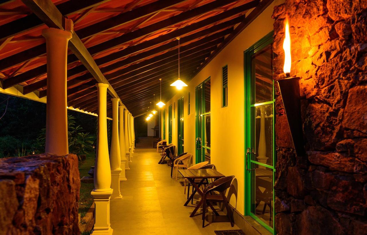 Explore Sinharaja Rain Forest Tour Camp Dombagoda Exterior foto