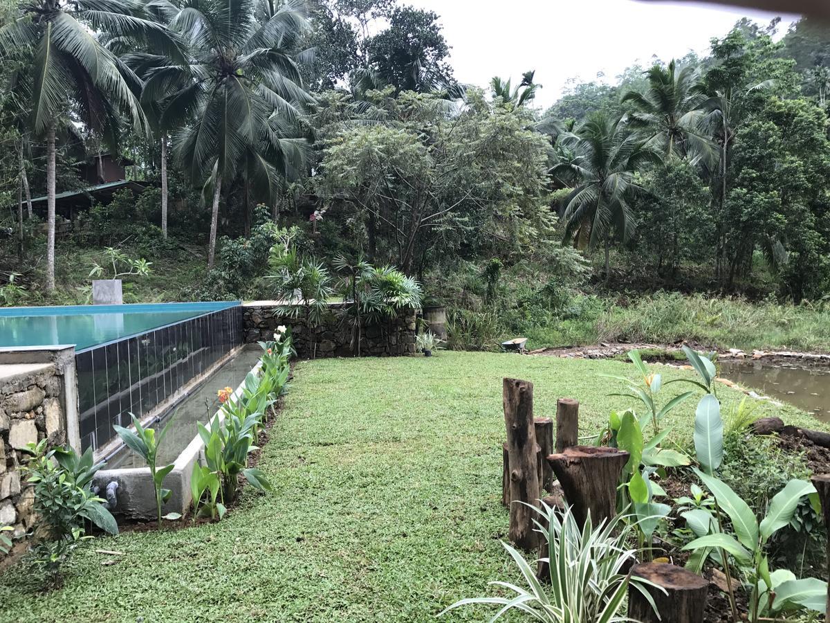 Explore Sinharaja Rain Forest Tour Camp Dombagoda Exterior foto