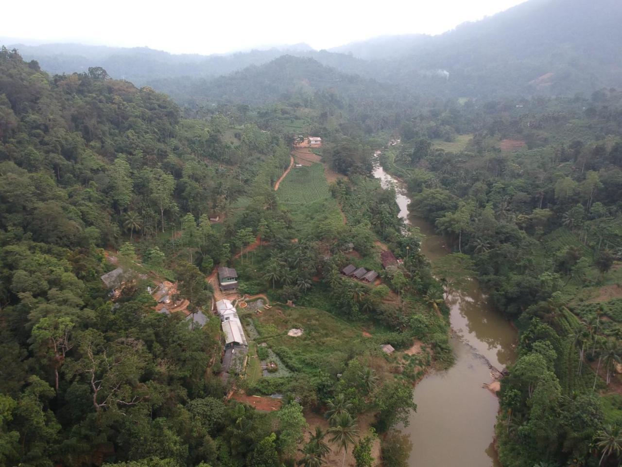 Explore Sinharaja Rain Forest Tour Camp Dombagoda Exterior foto